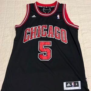 Adidas Chicago Bulls Carlos Boozer Jersey